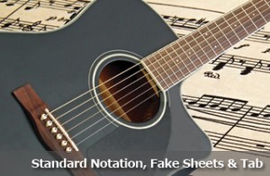 Standard Notation, Fake Sheets and Tablature for Guitar